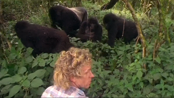 Compilation from EP 31 Journey Up The West Coast of Africa - To Vanishing Gorillas (1 min 21 sec)