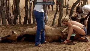 EP 27 Crossing the Kalahari