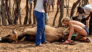 EP 27 Crossing the Kalahari